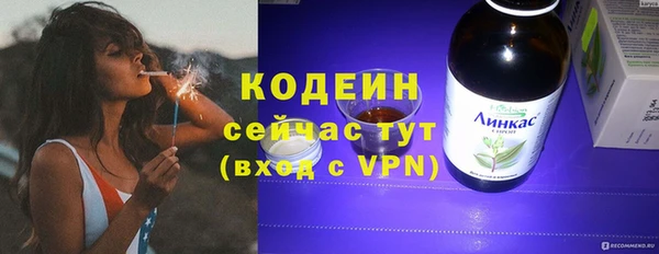 ешки Вяземский